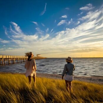 Why’s the Water Brown? Tannins, Silt, and the Blue Water Project on the Mississippi Gulf Coast